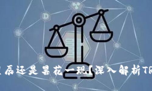 波场TRX：未来星辰还是昙花一现？深入解析TRX的前景与机会