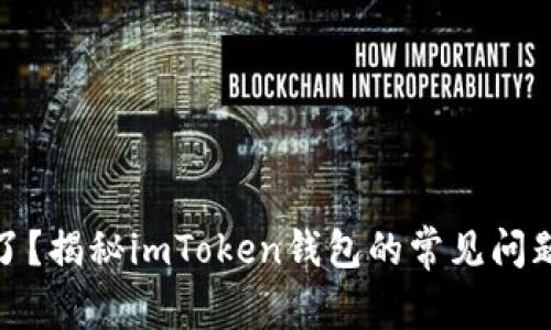 账户币不见了？揭秘imToken钱包的常见问题与解决方案