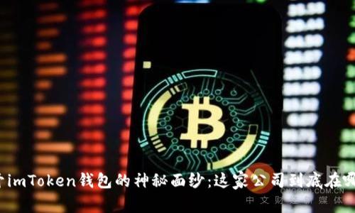 揭开imToken钱包的神秘面纱：这家公司到底在哪里？