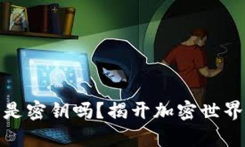 助记词真的是密钥吗？揭开加密世界的神秘面纱