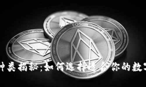 区块链钱包的种类揭秘：如何选择适合你的数字资产安全方案