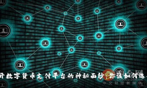 揭开数字货币支付平台的神秘面纱：你该如何选择？