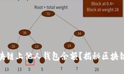如何查询区块链上他人钱包余额？揭秘区块链背后的秘密
