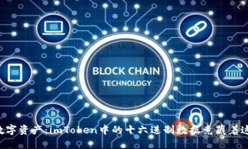 解密你的数字资产：imToken中的十六进制数据竟藏着这样的秘密！