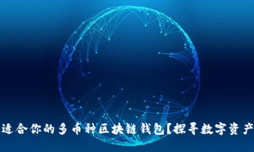 如何选择最适合你的多币种区块链钱包？探寻数字资产的安全天堂