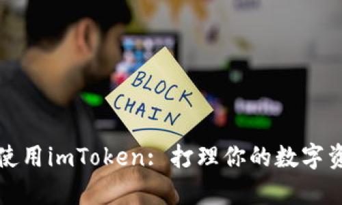 如何安全下载和使用imToken: 打理你的数字资产从未如此简单
