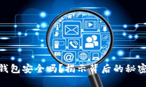 数字币钱包安全吗？揭示背后的秘密与风险