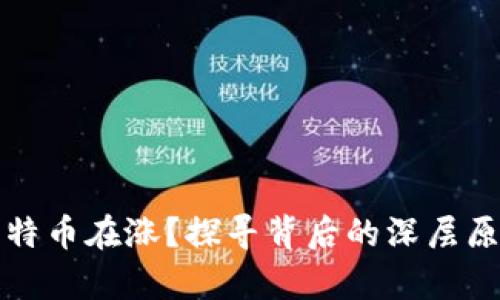 为什么只有比特币在涨？探寻背后的深层原因与市场趋势