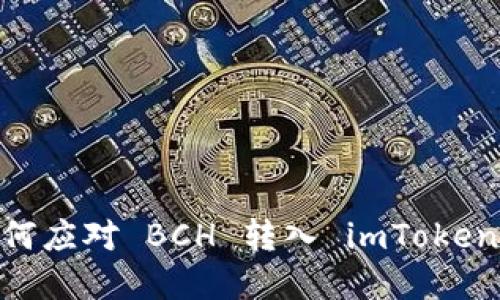 意外误转：如何应对 BCH 转入 imToken 钱包的困境