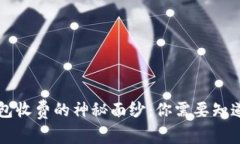 揭开区块链钱包收费的神秘面纱：你需要知道的