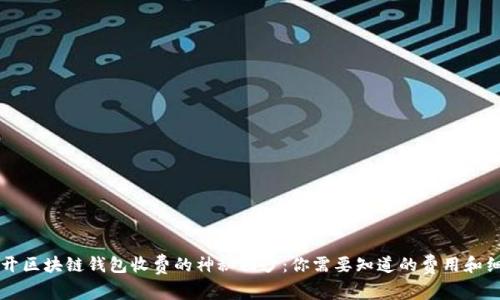 揭开区块链钱包收费的神秘面纱：你需要知道的费用和细节