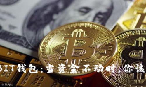 探寻OWNBIT钱包：当资金不动时，你该如何应对？