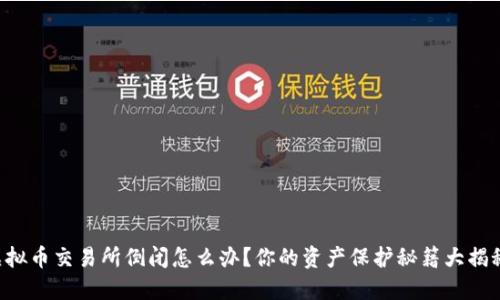 虚拟币交易所倒闭怎么办？你的资产保护秘籍大揭秘！