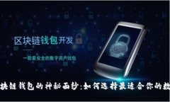 揭开区块链钱包的神秘面纱：如何选择最适合你