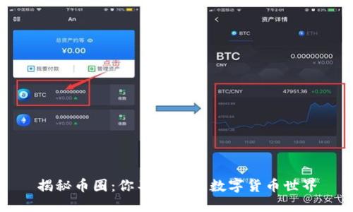 揭秘币圈：你不知道的数字货币世界