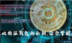 如何安全地导出比特派钱包的私钥，让你掌握数