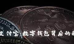 《imToken与支付宝：数字钱包背后的秘密与选择》