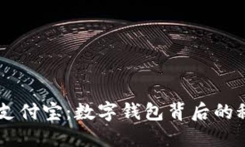 《imToken与支付宝：数字钱包背后的秘密与选择》 