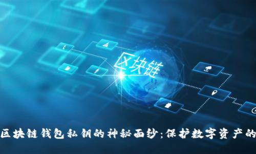 揭开区块链钱包私钥的神秘面纱：保护数字资产的关键