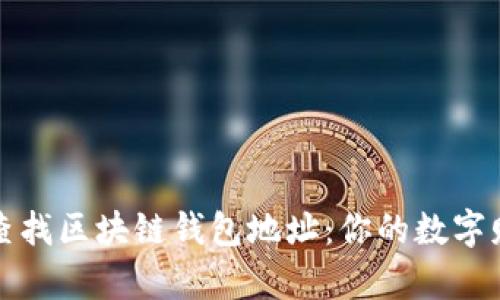 如何轻松查找区块链钱包地址：你的数字财富守护者