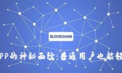 揭开USDT虚拟币APP的神秘面纱：普通用户也能轻松