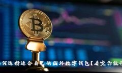 如何选择适合自己的国外数字钱包？看完你就懂