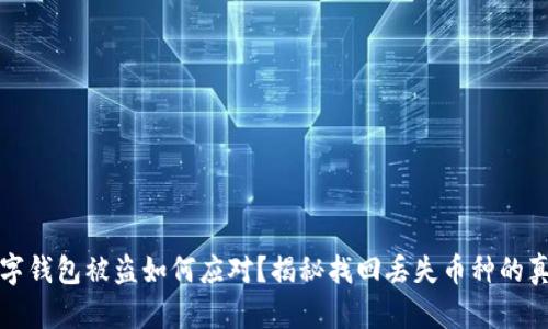 数字钱包被盗如何应对？揭秘找回丢失币种的真相